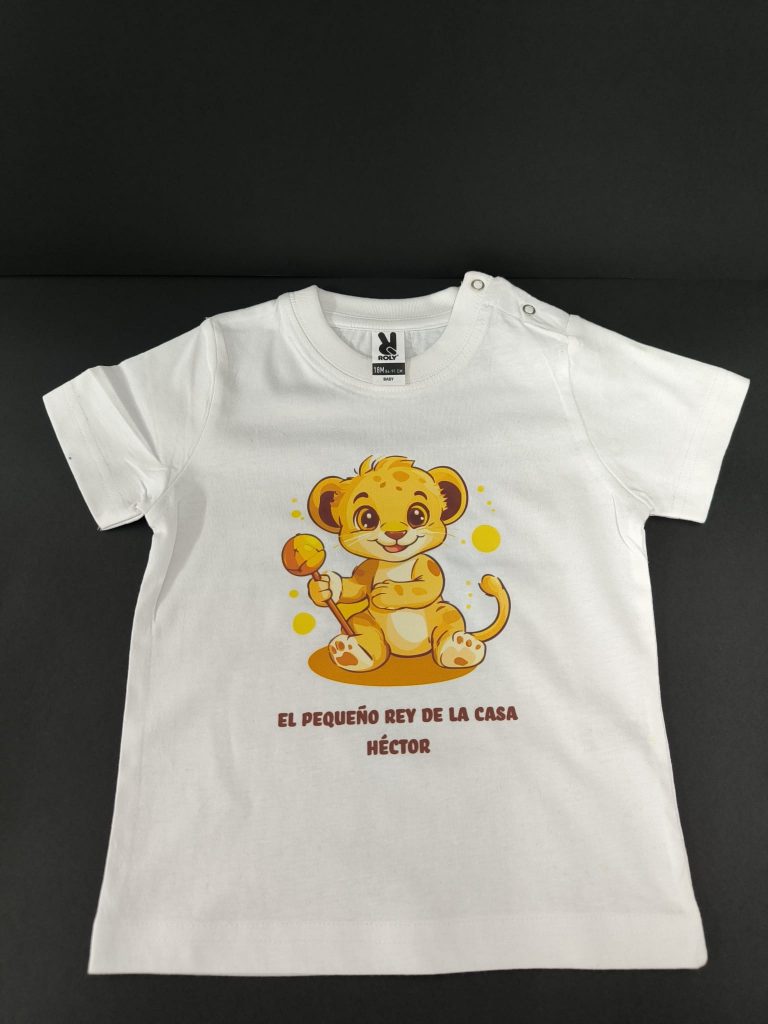 DTF Trabajos Personalizados colibrí